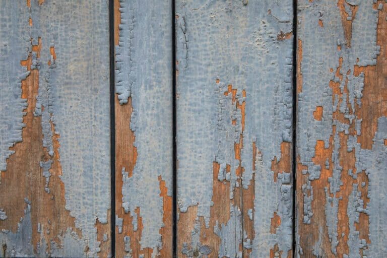 Window, Wall or Door Wood Rot Damage add Preventative Maintenance Services by Rabbit Handyman